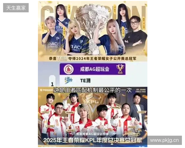 TE溯不敌AG超玩会告别挑杯