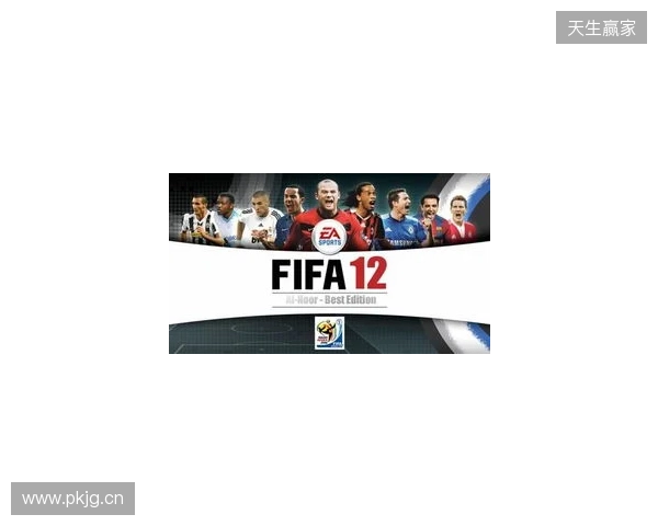 Netflix将与FIFA合作推出全新足球模拟游戏