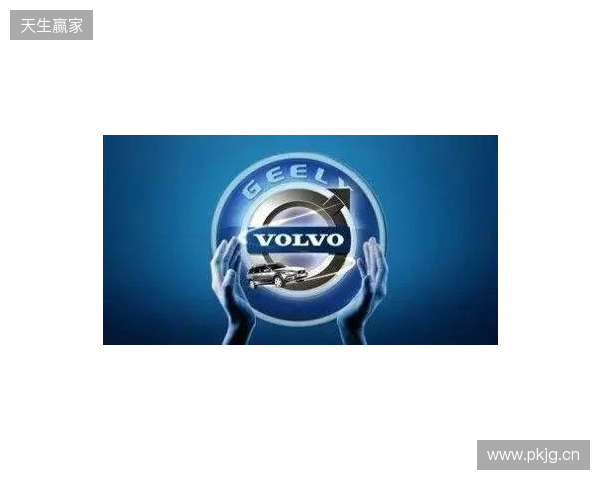 IEM里约 2026：大开大合！NAVI 2-1 战胜B8