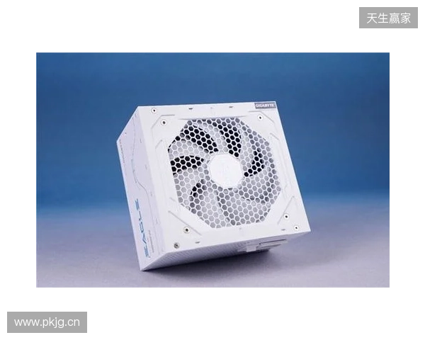 黑白双鹰，白金降临：技嘉猎鹰 冰猎鹰白金电源4月27日开售